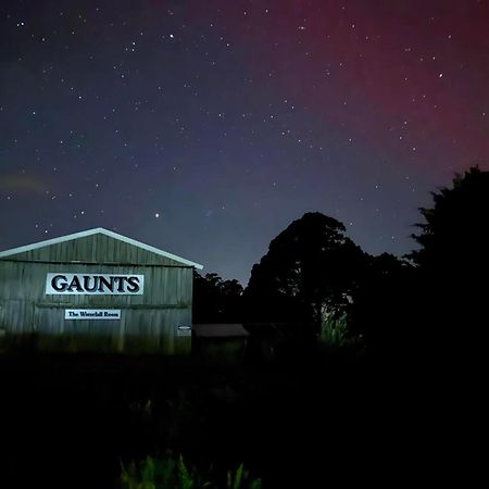 Buttons Cottage Under The Milky Way Nietta Exteriér fotografie